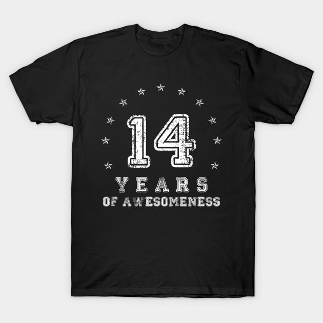 Vintage 14 years of awesomeness T-Shirt by opippi